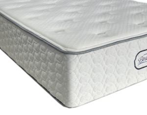 DUMAS PLUSH - Imagen 2